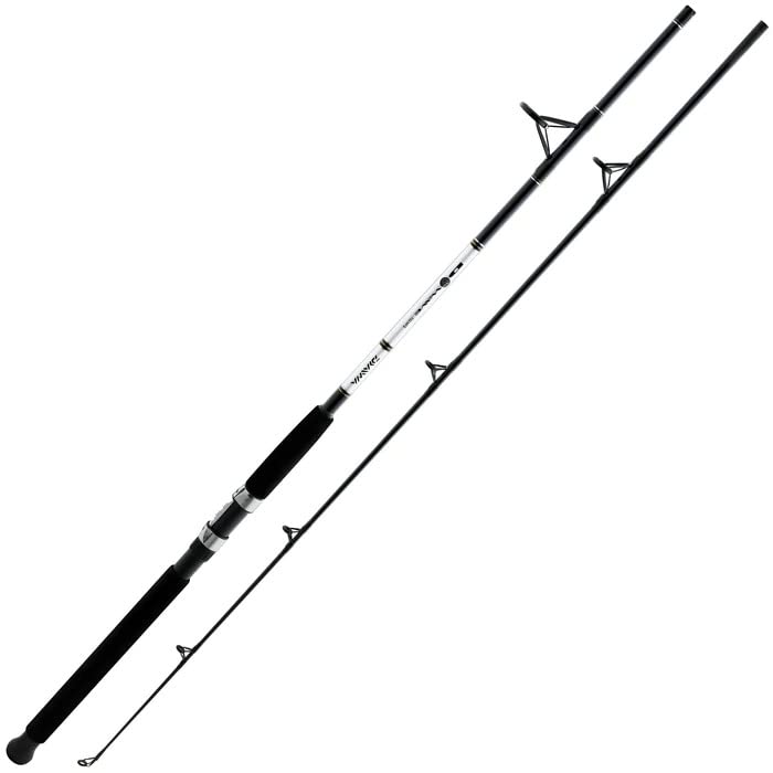 Daiwa D Wave