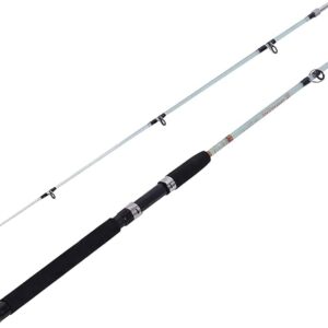 Spinning Rods